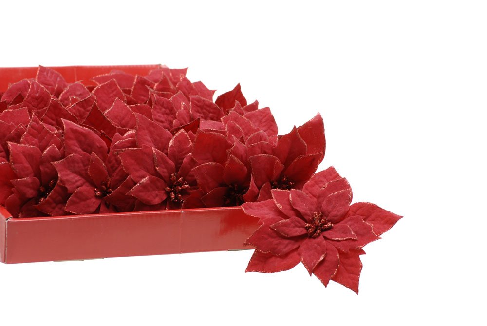 Clip on Red Velvet Poinsettia 14cm