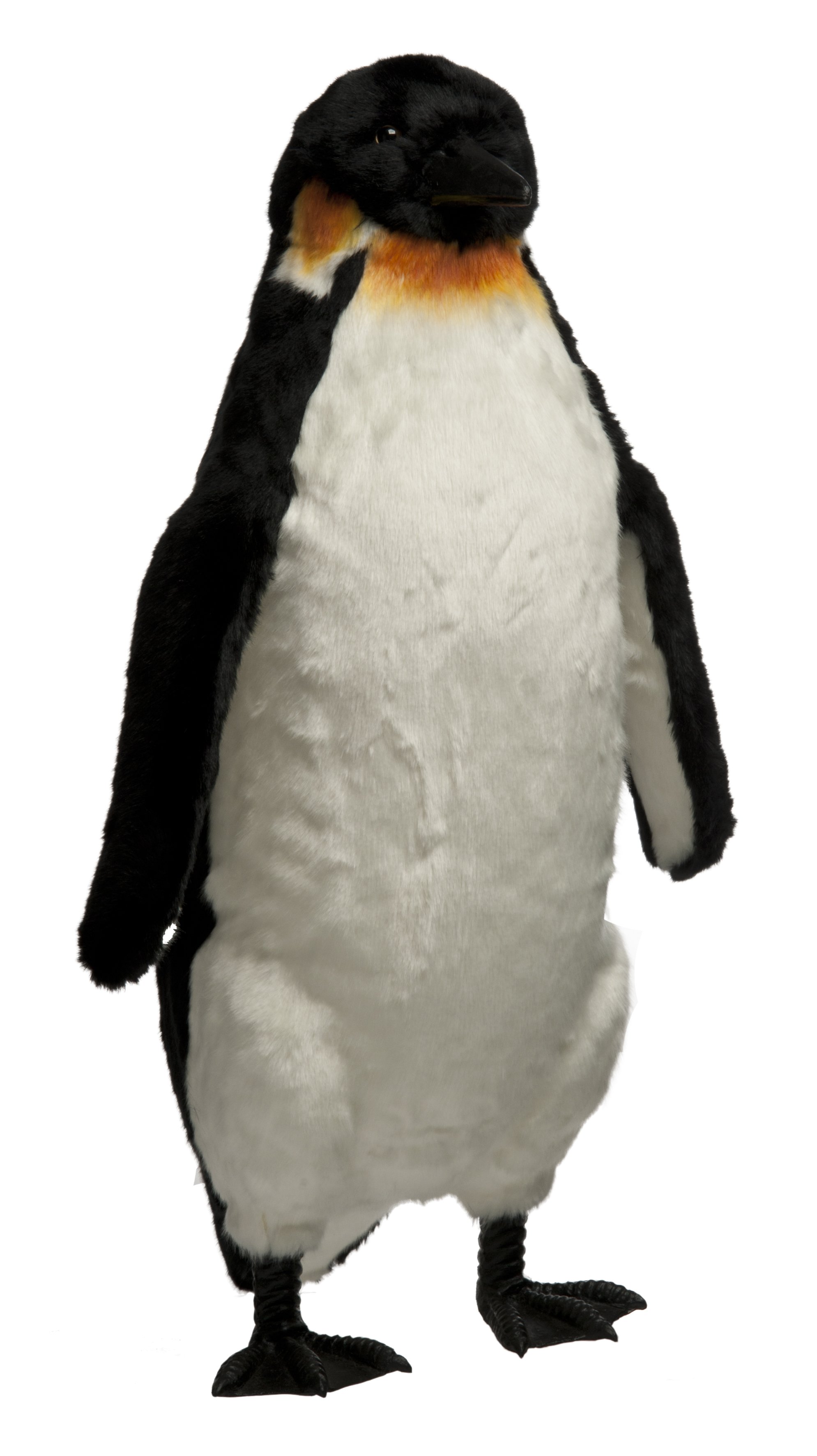 Large Penguin