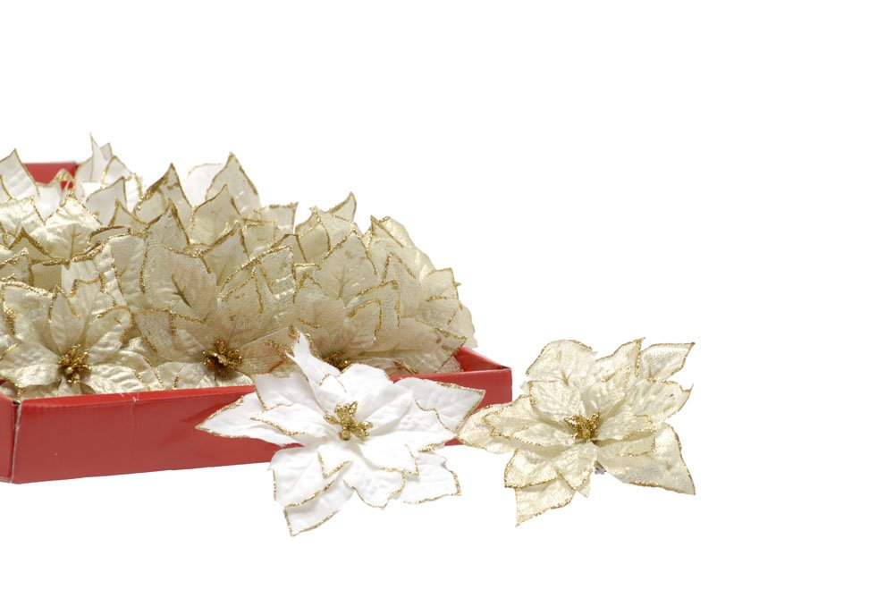 Clip on Cream and Gold Velvet Poinsettia 14cm