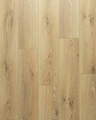 Trend Oak 12mm Laminate 1.355m2 per pack